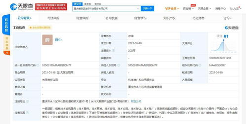 愛奇藝在重慶成立科技公司，拓展創業空間與信息系統集成服務